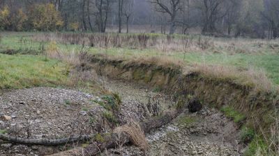 Hochwasserschutz und ökologische Verbesserung: Vorbereitungen zur geplanten Renaturierung der Alme in Brenken haben begonnen